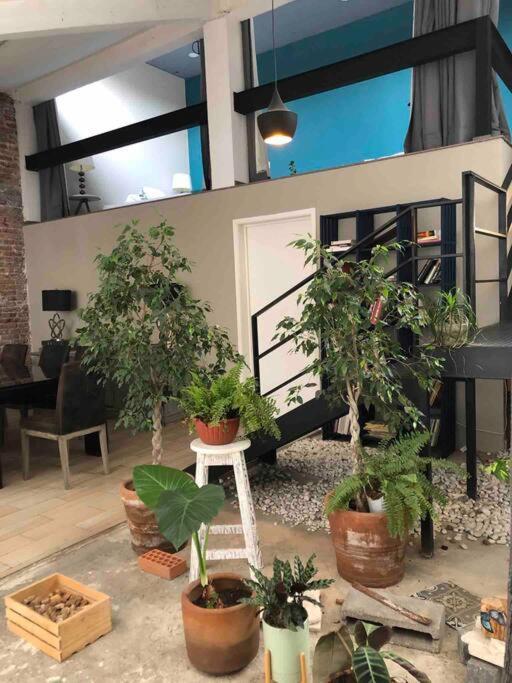 Appartamento Loft Condesa Città del Messico