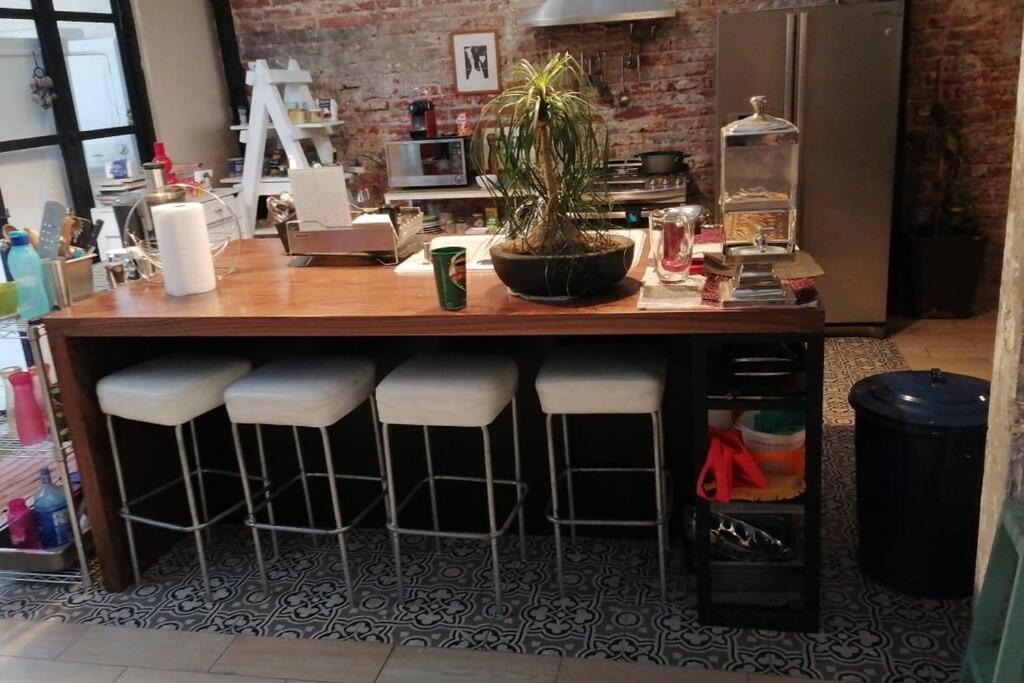 Loft Condesa Appartamento *
