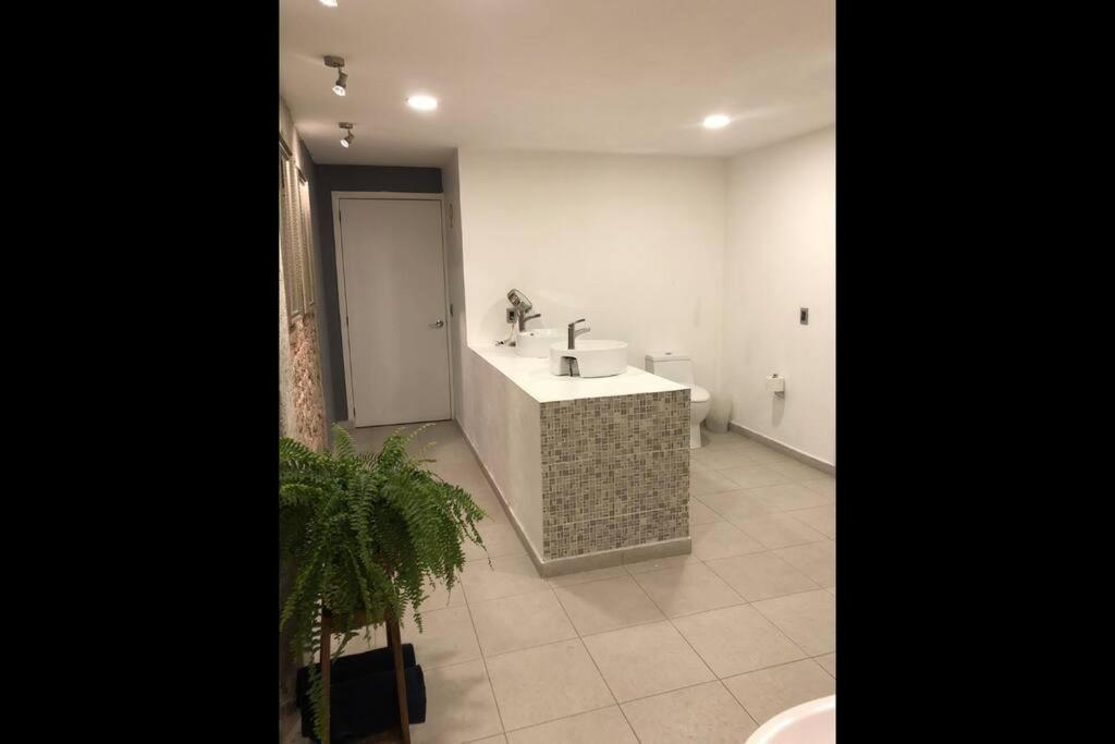 Appartamento Loft Condesa Città del Messico